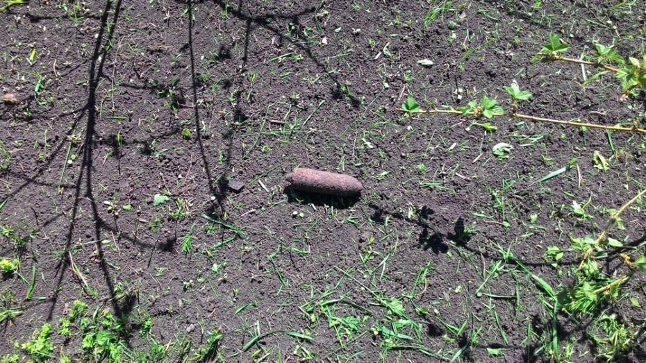 Житель рамонского села нашел в огороде снаряд времен ВОВ