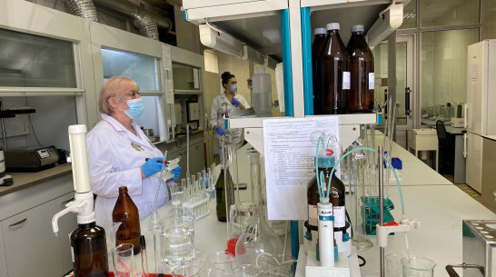 Мобильные лаборатории и уникальное оборудование. Как оценивают свойства воронежского зерна