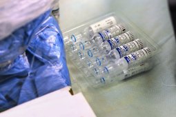 Запас вакцины от COVID-19 в Воронежской области составил 100 тыс доз
