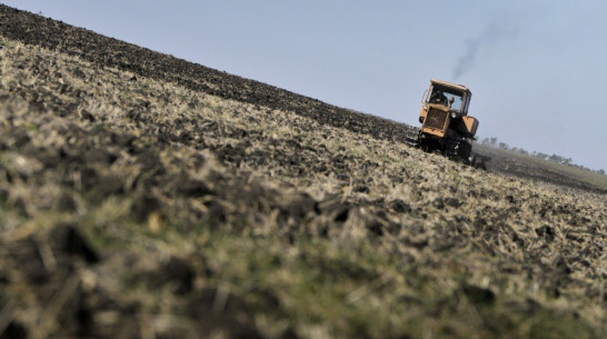 «Мироновский хлебопродукт» обменял землю в Воронежской области на активы в Украине 