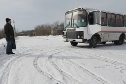 Мэрия Воронежа объяснила двухдневное отсутствие автобусов №58С на маршруте
