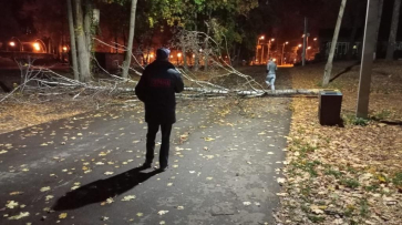 Появились кадры первых последствий сильного ветра в Воронеже
