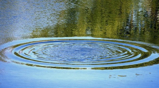 В Острогожском районе утонул 83-летний мужчина