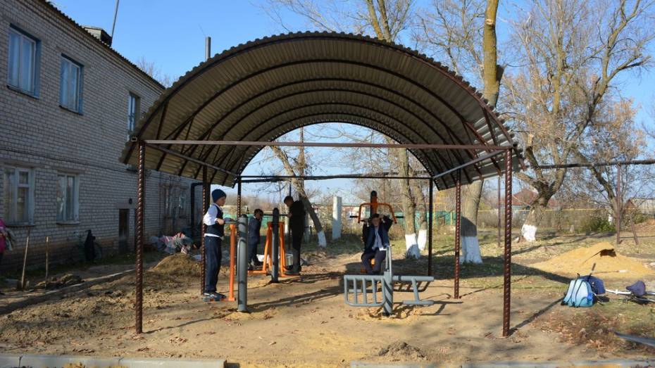 В воробьевском селе Мужичье установили уличные тренажеры возле Дома культуры