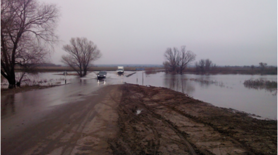 Спасатели спрогнозировали затопление моста через реку Савала в Воронежской области