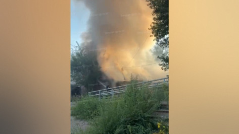 Крупный пожар на улице Новгородской в Воронеже сняли на видео