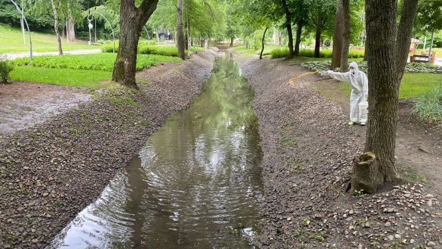 Водоемы 4 воронежских парков обработают от личинок комаров на неделе с 17 апреля