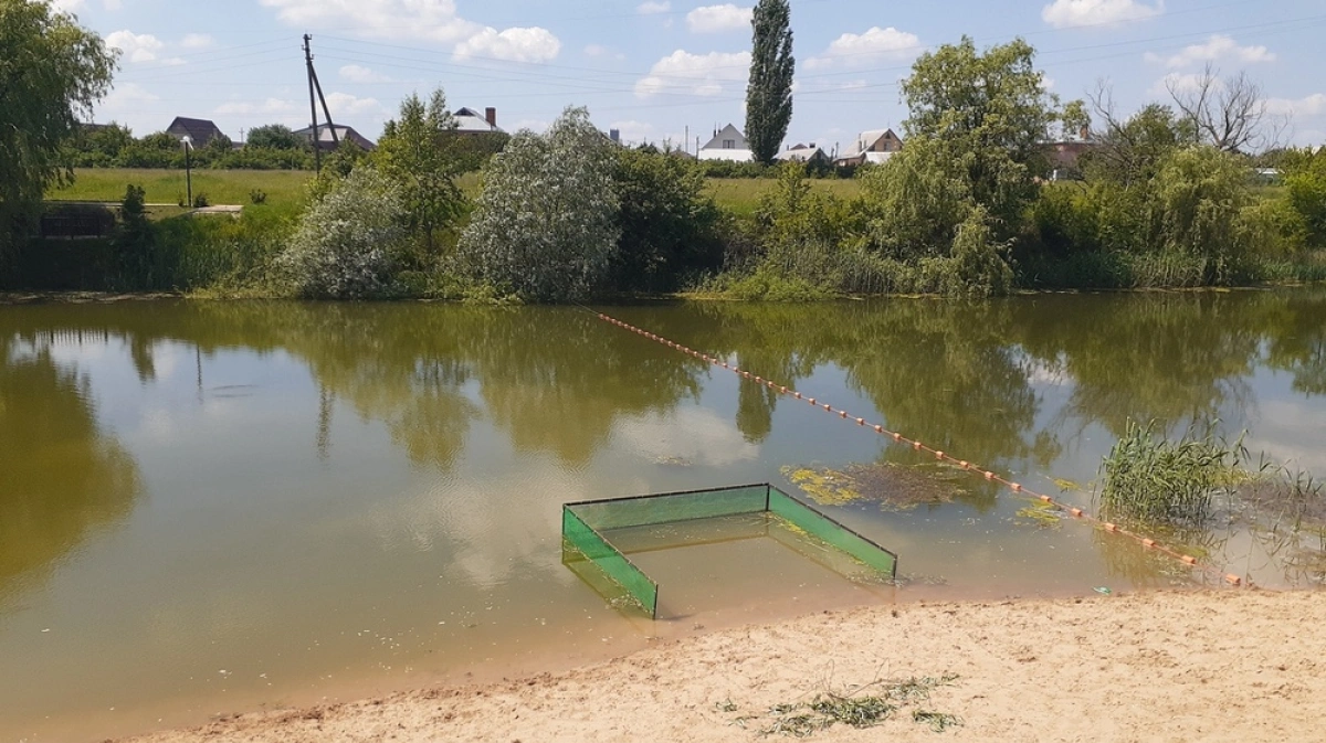 Водоемы для купания. Богоявленовка Воронеж пляж. Хохольский больничный пруд. Воронеж водоемы для купания.