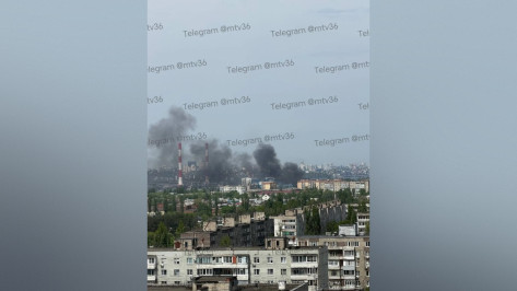 Воронежцы сообщили о сильном пожаре на левом берегу днем 10 мая
