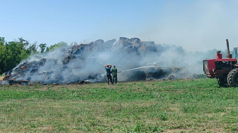 В Воронежской области сгорело около 700 тюков сена