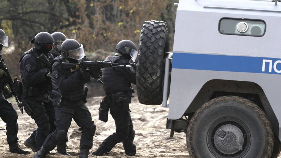 За год в Воронежской области поймали 132 участника банд 