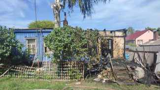 В семилукском селе Девица при пожаре погибла 61-летняя хозяйка дома