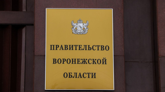 Комиссия проследит за уничтожением печатей и штампов правительства Воронежской области