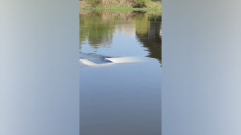 Под Воронежем 33-летняя женщина утопила автомобиль в реке Дон