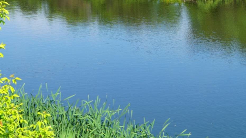 Воронежец утонул в Новоусманском районе