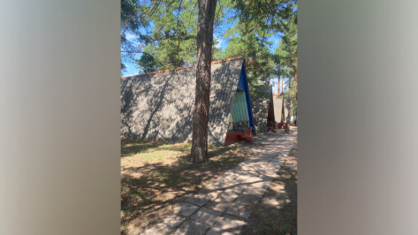 «Отличные условия для активного отдыха и общения с природой»: что увидели воронежские общественники в детских лагерях