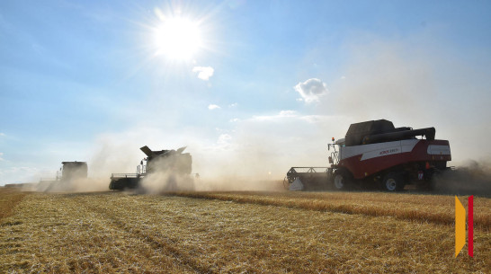 В Воронежской области вопреки режиму ЧС увеличился урожай