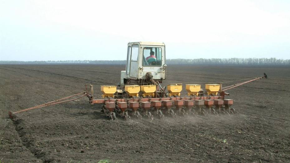 Воронежские предприятия ГК «Продимекс» приступили к весенне-полевым работам