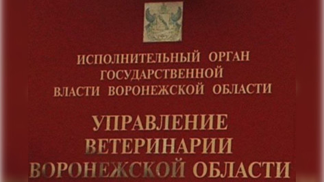 В управлении ветеринарии Воронежской области определили цели на 2025 год в сфере применения бережливых технологий