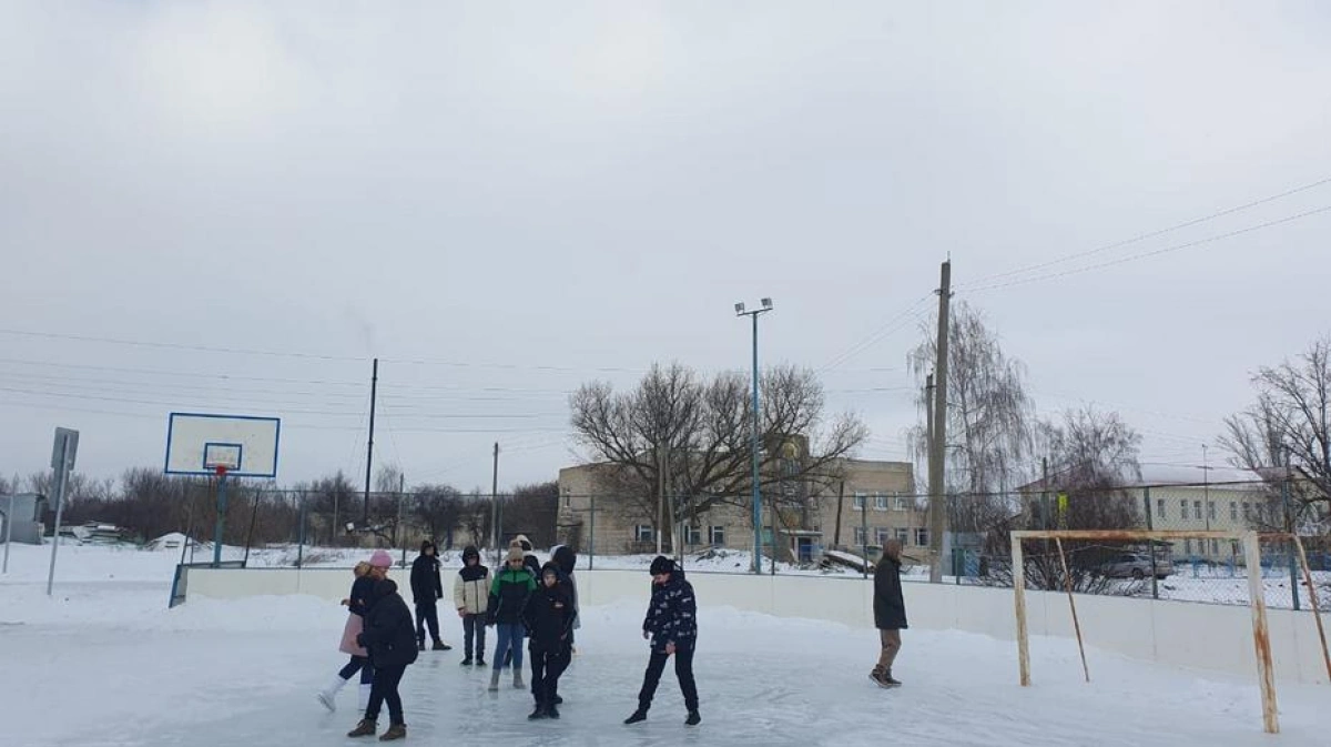 Нелжа каток Воронеж