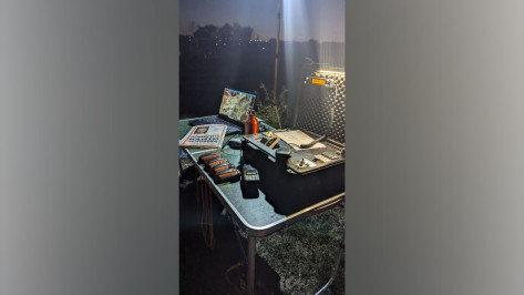 За неделю в Воронежской области пропали 30 человек