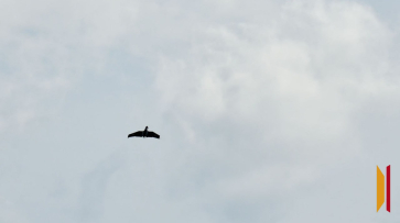 В Воронежской области в результате атаки БПЛА загорелась крыша жилого дома