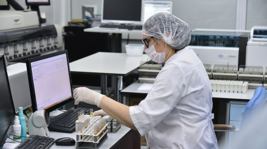 В Воронежской области продолжило расти суточное число заболевших ковидом