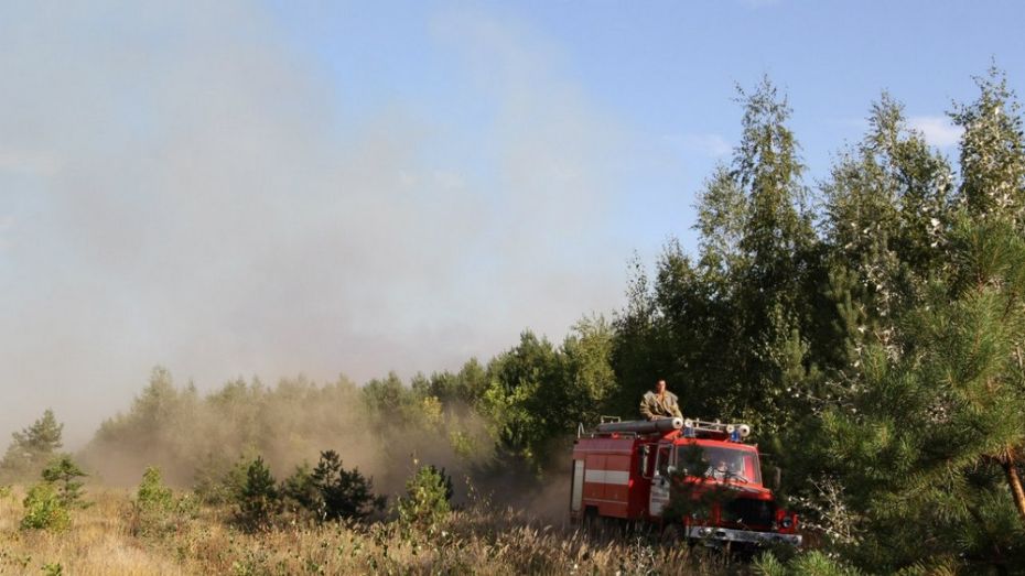 Воронежские лесники до конца января проверят исправность техники для тушения пожаров