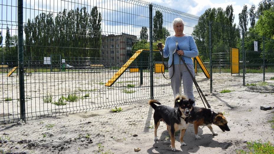 В Борисоглебске построили площадку для выгула собак