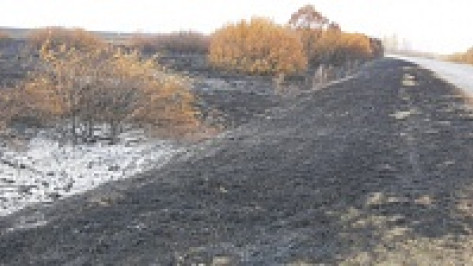 В Верхнехавском районе за неделю произошло 16 ландшафтных возгораний