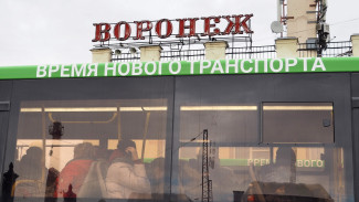 Воронежцам потребуется новая ссылка для вывода карт из стоп-листа на транспорте