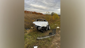 В Воронежской области 26-летний водитель на ВАЗ вылетел в кювет, опрокинулся и скончался