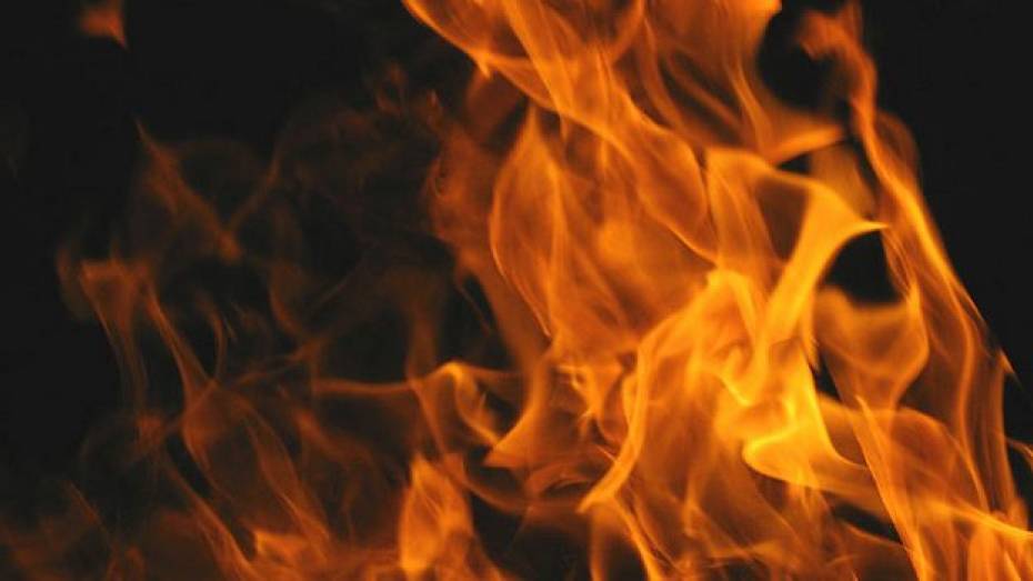Житель Верхнехавского района едва не сгорел заживо, разводя костер