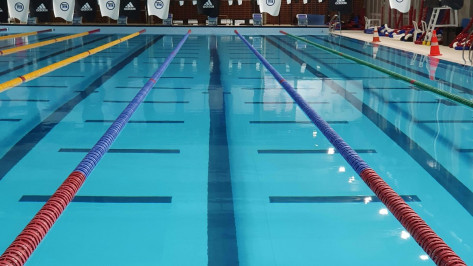 Воронежская пловчиха Дарья Клепикова повторно установила рекорд России