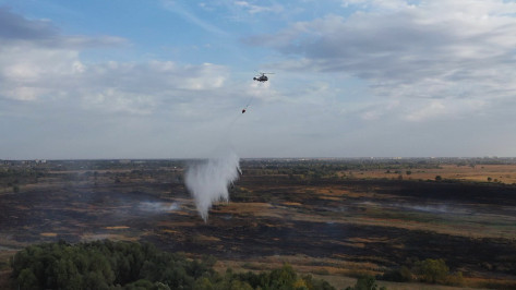 Все крупные пожары в Воронежской области ликвидировали