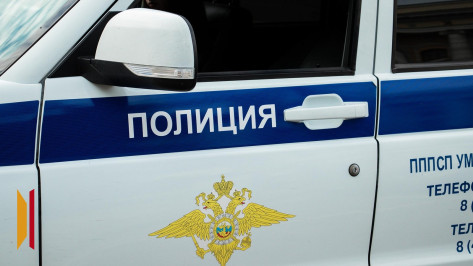 Воронежец избил полицейского и был оштрафован на 170 тыс рублей