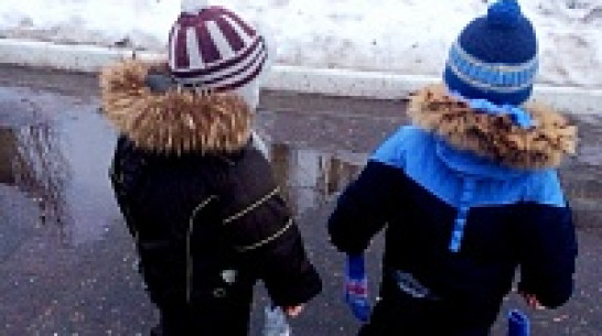 В Воронеже погода опередила календарь более чем на месяц