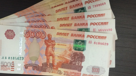 В Воронежской области 17-летний мошенник присвоил деньги, похищенные для «кураторов»