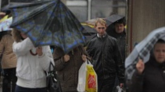 В ночь на четверг в Воронежскую область вернется снег