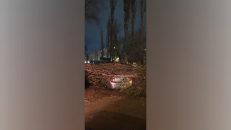 Последствия штормового ветра в Воронеже сняли на видео