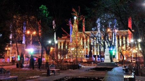 Главная елка Воронежа простоит как минимум до 20 января
