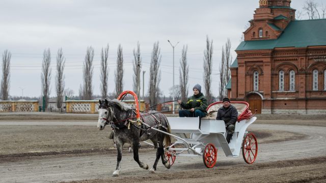 В Воронежской области отремонтируют старинное здание, входящее в ансамбль Хреновского конного завода