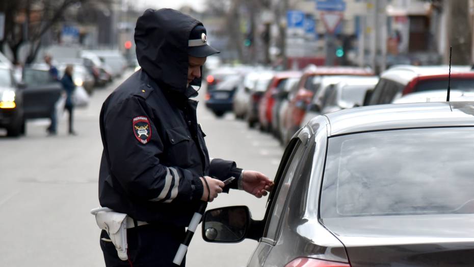 Полиция устроит 3-дневный рейд на дорогах в Воронежской области