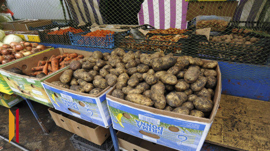 В Воронежской области за прошедшую неделю снова подорожали овощи