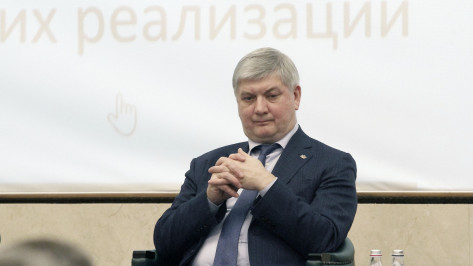 Губернатор Воронежской области отчитался о доходах за 2019 год
