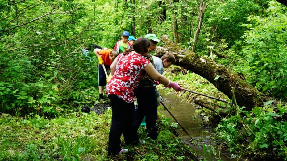 В хохольском селе волонтеры расчистили берег речки Бухтоярки
