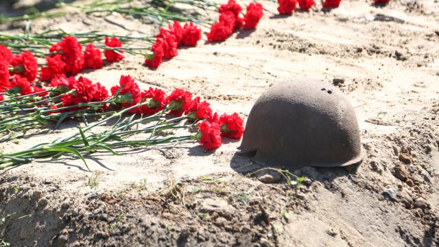Проект сохранения братской могилы у памятника Славы создадут в Воронеже