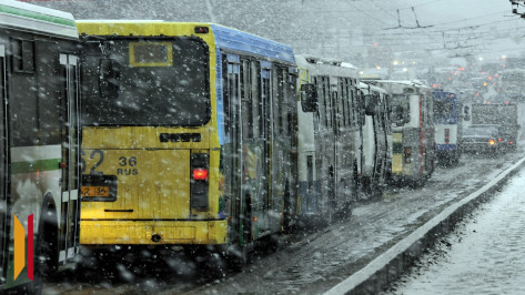 На рабочей неделе воронежцев ждет пасмурная погода, мокрый снег и дождь