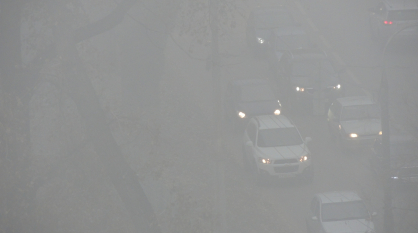 Желтый уровень погодной опасности ввели в Воронежской области из-за тумана