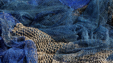 В Воронежской области изъяли 2,5 км незаконно установленных рыболовных сетей